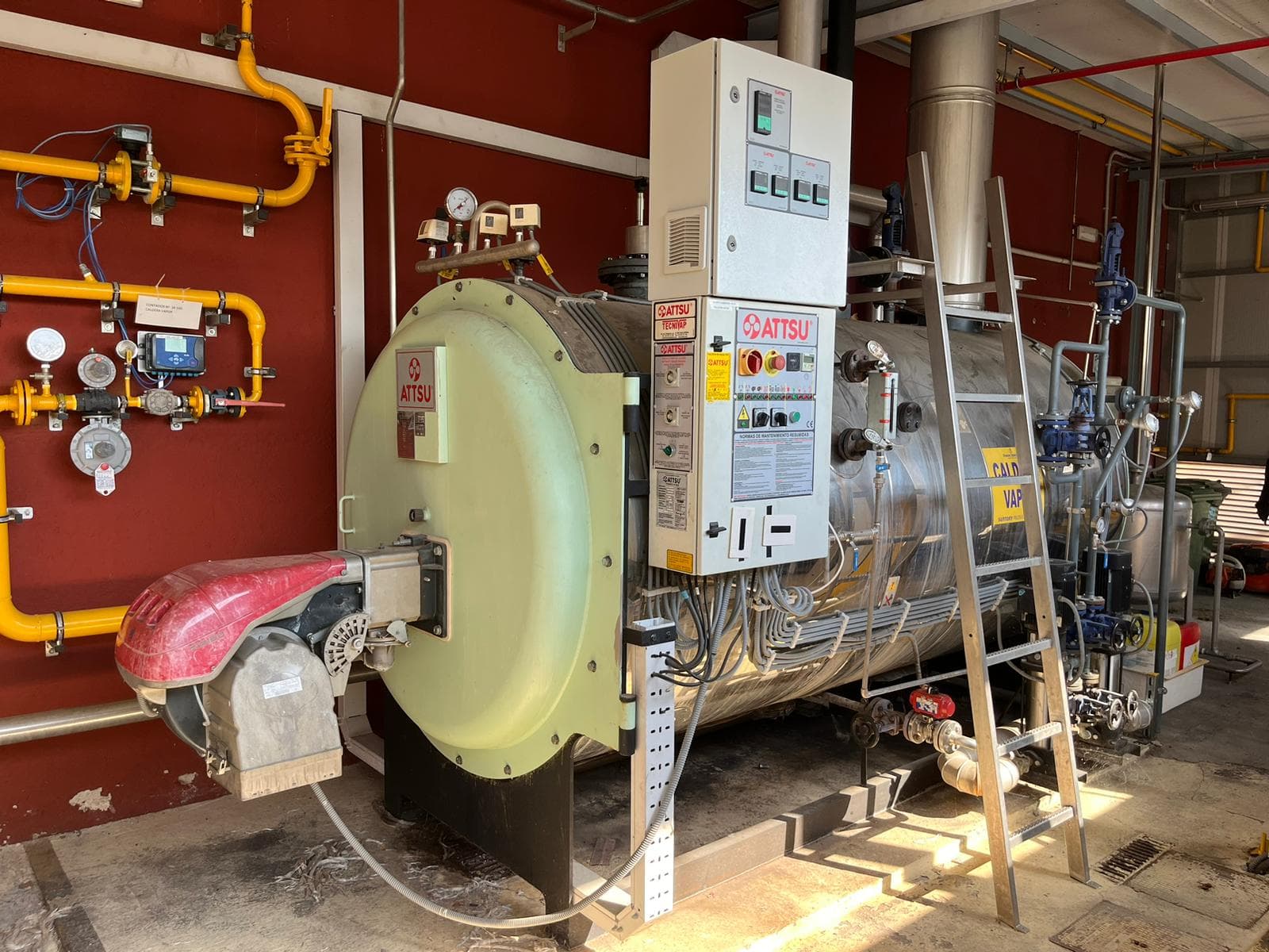 Image of the product